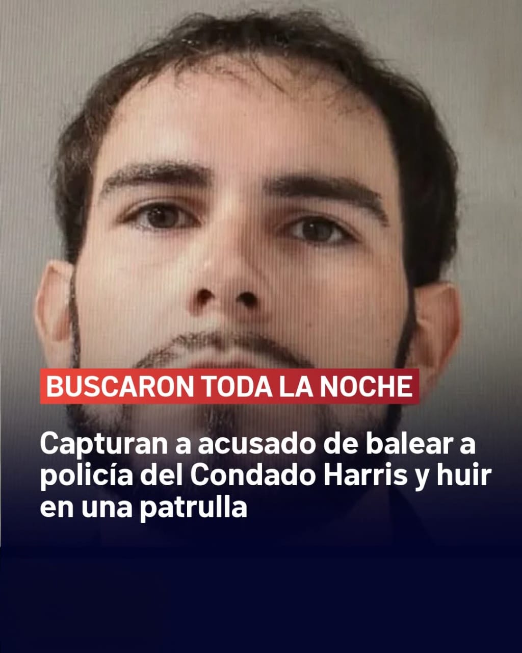 Media Noticia